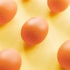 Preventie van eetstoornissen: de kip of het ei