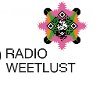 Radio Weetlust: Anne-Fleur Filemon over intellectueel eigendomsrecht