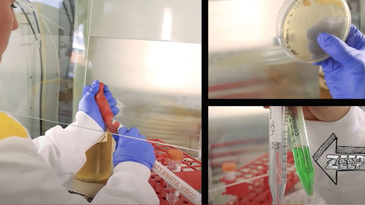 Afbeelding uit video over Biologie en Medisch Laboratoriumonderzoek aan Hogeschool Leiden