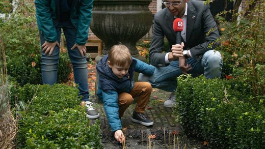 foto kind planten tulpenbollen