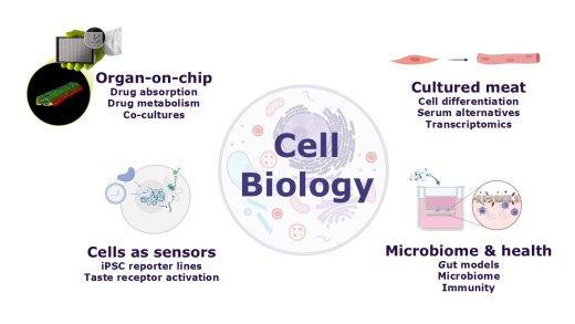 Een overzicht van de onderzoeksgroep Cell Biology