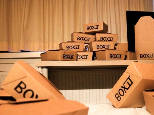Foto van vele kartonnendoosjes met het logo van Boxit erop