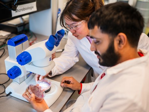 Twee onderzoekers van Foodlab bekijken en bespreken mengsel onder microscoop