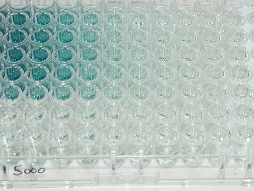 foto over immunologie