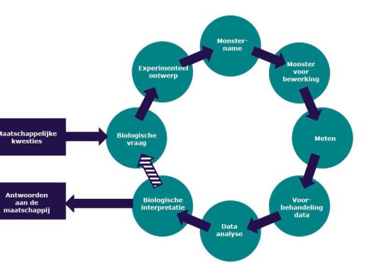 afbeelding workflow minor Metabolomics