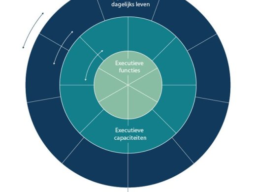 Executieve functies in kaart gebracht 