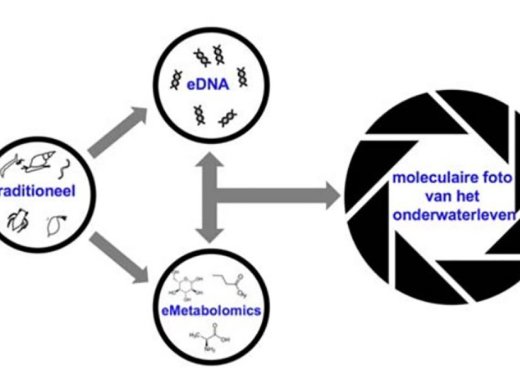 Een schematische weergave van hoe eDNA en eMetabolomics worden ingezet om een moleculaire foto van het onderwaterleven op te leveren
