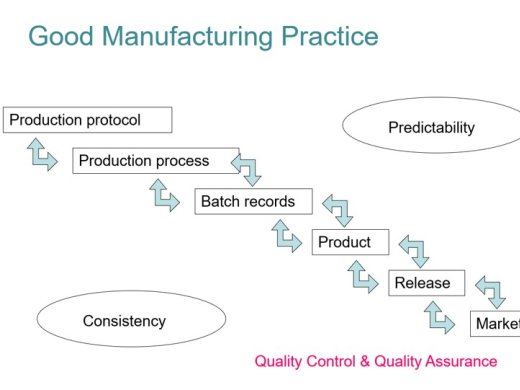Afbeelding 2 GMP Basis - Proces GMP