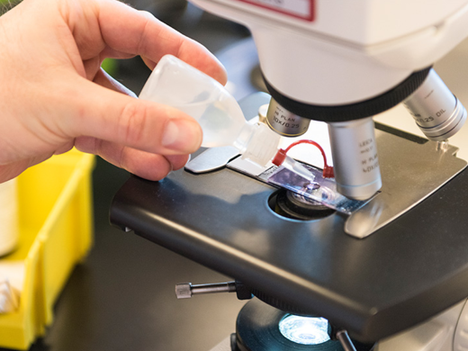Labmedewerker achter microscoop