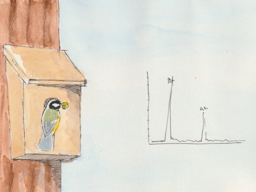 Illustratie Meet de Mees nieuwsbrief 8