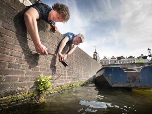 Expeditie Stadsnatuur (foto: Taco van der Eb).