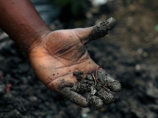 Een modderige kinderhand houdt een worm vast
