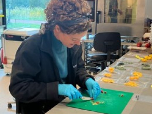 Laurie snijdt pepers op het lab