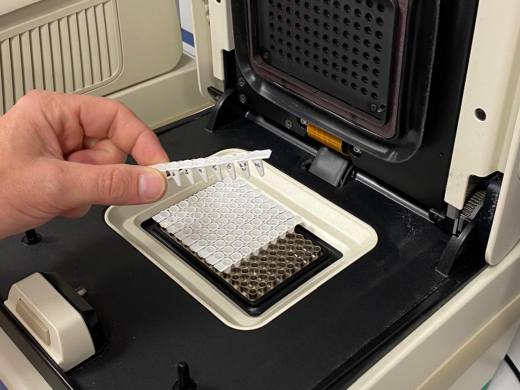 pcr machine