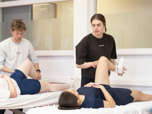 praktijkles zelfstudie in groepsverband opleiding Fysiotherapie bij Hogeschool Leiden