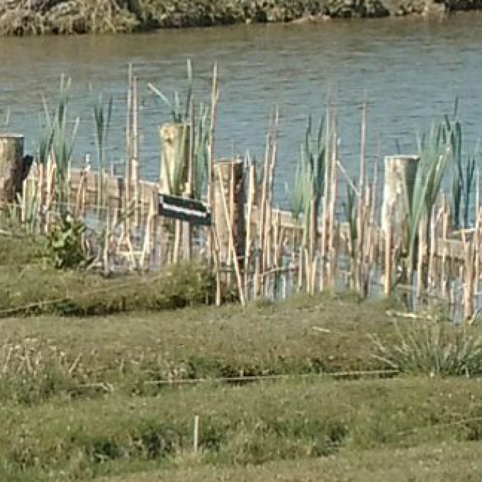 Foto van Leidse veenweidepolders