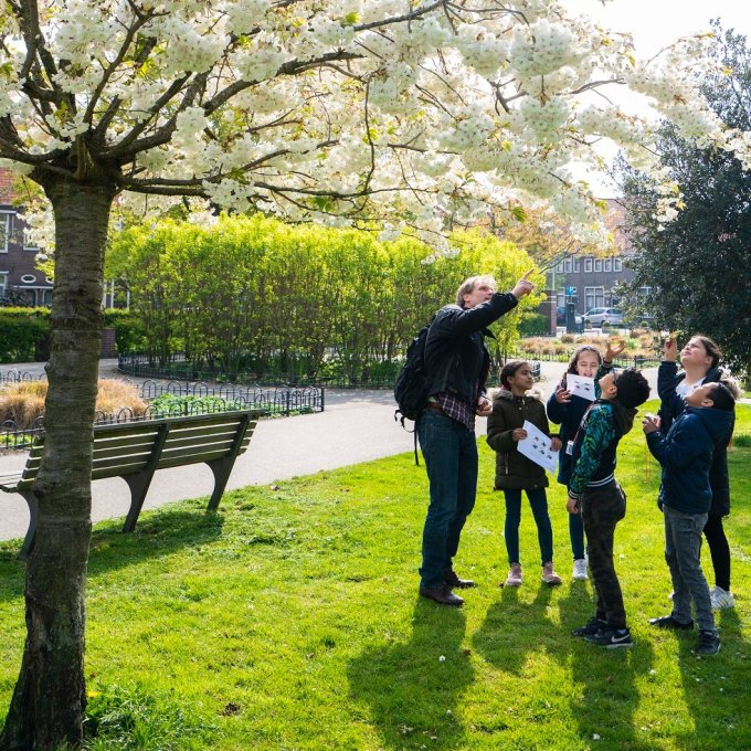 Man laat kinderen een bos zien
