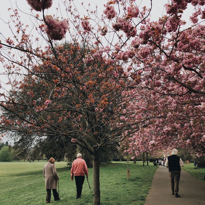 foto van wandelende ouderen