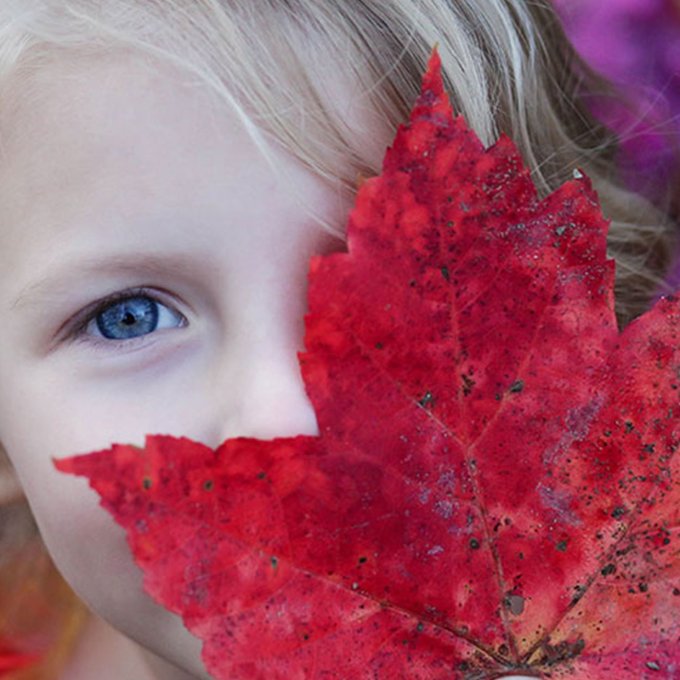 close up gezicht kindje die rood herfstblad voor rechteroog houdt 