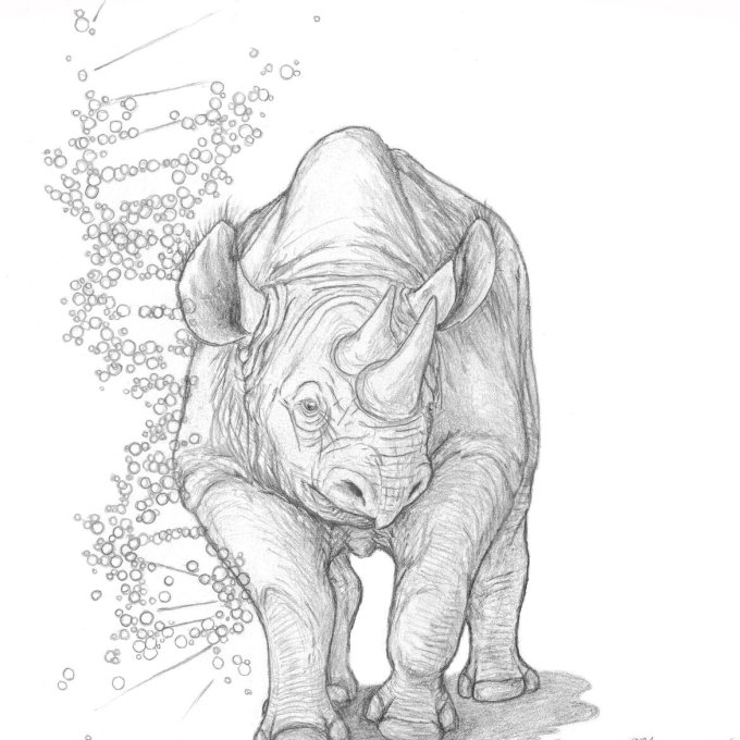 Tekening van een neushoorn met dna naast zich