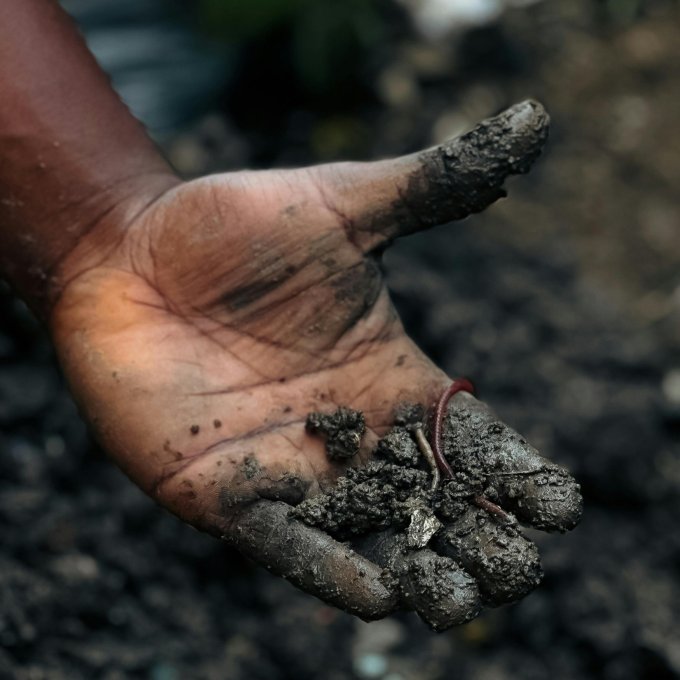 Een modderige kinderhand houdt een worm vast