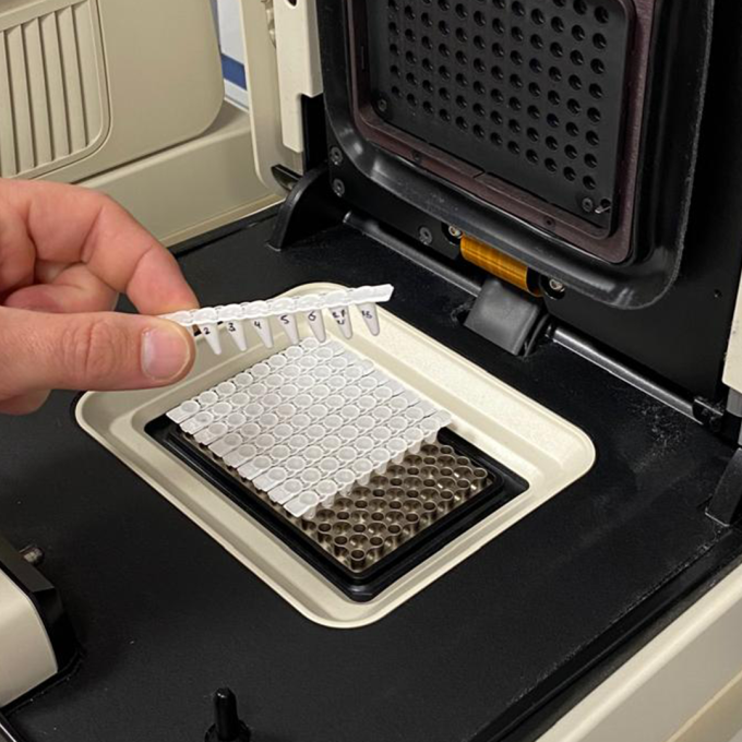 pcr machine